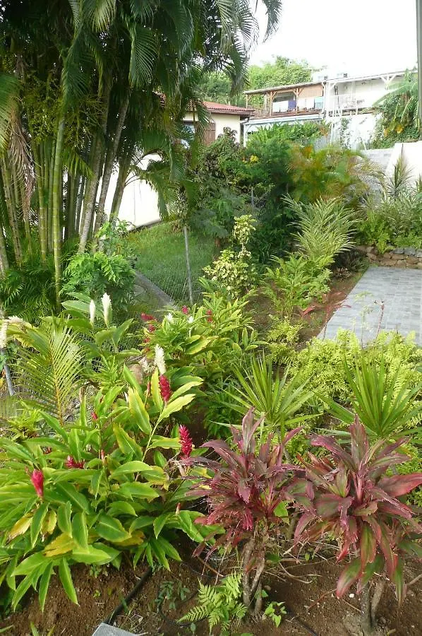 Douceurs Caraibes, Gite Alpinia. Буйант